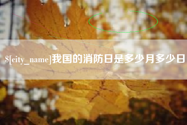 聊城我国的消防日是多少月多少日