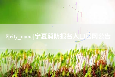聊城宁夏消防报名入口官网公告