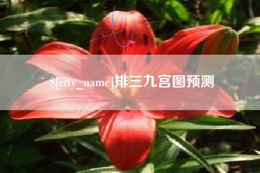 聊城排三九宫图预测