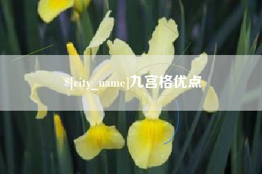 聊城九宫格优点