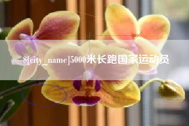 聊城5000米长跑国家运动员