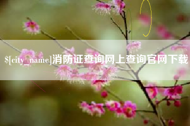 聊城消防证查询网上查询官网下载