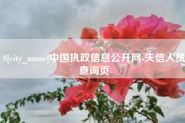 聊城中国执政信息公开网-失信人员查询页