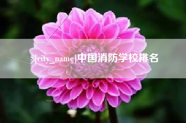 聊城中国消防学校排名