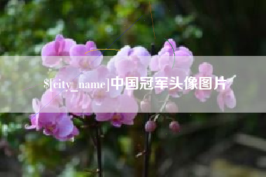 聊城中国冠军头像图片
