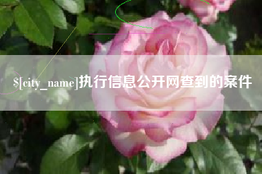 聊城执行信息公开网查到的案件