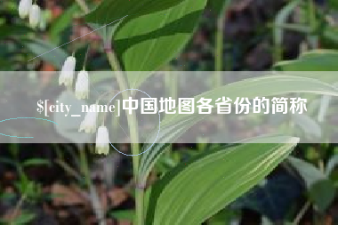 聊城中国地图各省份的简称