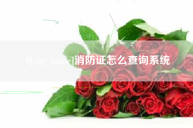 聊城消防证怎么查询系统