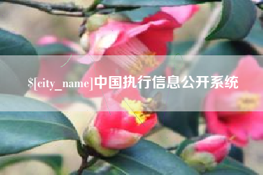 聊城中国执行信息公开系统