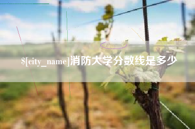 聊城消防大学分数线是多少