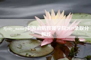 聊城中国消防救援学院2019录取分数线