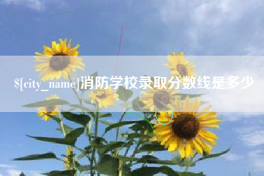 聊城消防学校录取分数线是多少