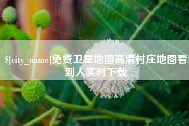 聊城免费卫星地图高清村庄地图看到人实时下载