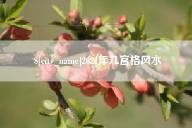 聊城2021年九宫格风水