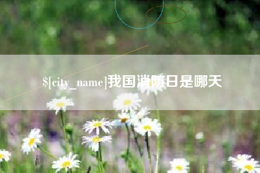 聊城我国消防日是哪天