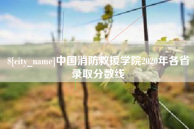 聊城中国消防救援学院2020年各省录取分数线