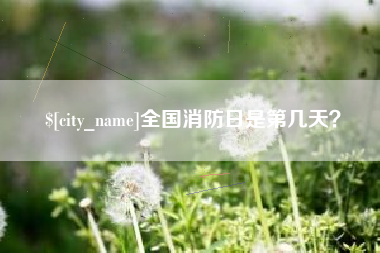 聊城全国消防日是第几天？