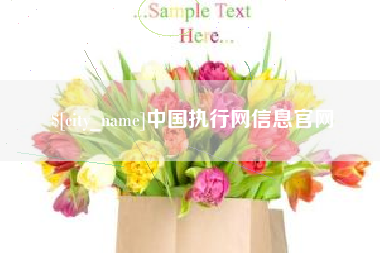 聊城中国执行网信息官网