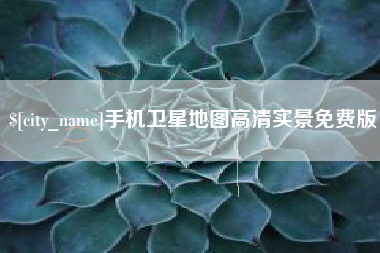 聊城手机卫星地图高清实景免费版