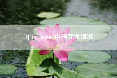 聊城中国夺金情况