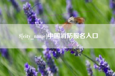 聊城中国消防报名入口