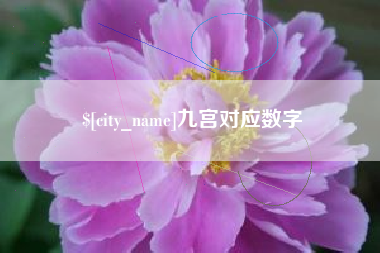 聊城九宫对应数字