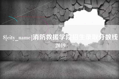 聊城消防救援学院招生录取分数线2019