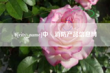 聊城中囯消防产品信息网