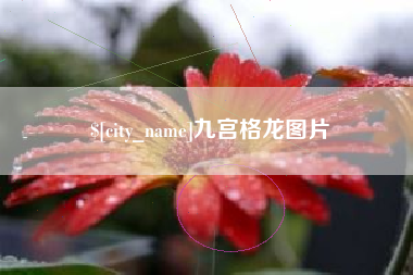 聊城九宫格龙图片