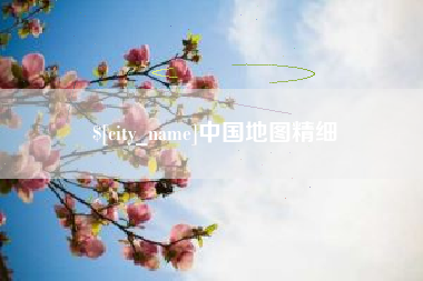 聊城中国地图精细