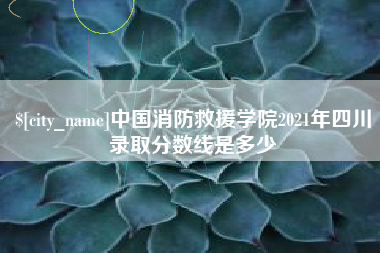 聊城中国消防救援学院2021年四川录取分数线是多少