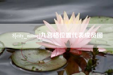 聊城九宫格位置代表成员图