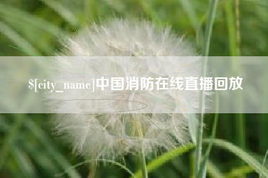 聊城中国消防在线直播回放