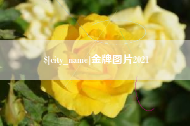 聊城金牌图片2021