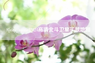 聊城2024高清北斗卫星实景地图