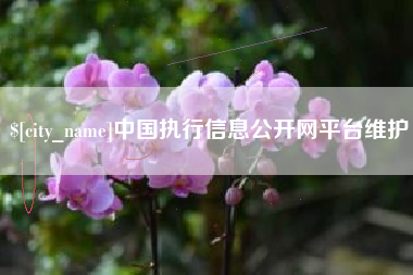 聊城中国执行信息公开网平台维护