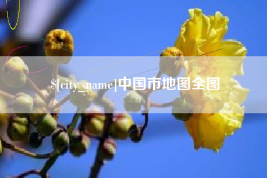 聊城中国市地图全图