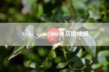 聊城5000米及格成绩