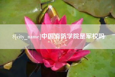 聊城中国消防学院是军校吗