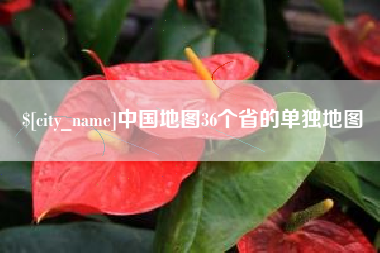 聊城中国地图36个省的单独地图