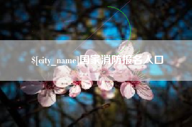聊城国家消防报名入口