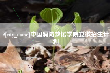 聊城中国消防救援学院安徽招生计划