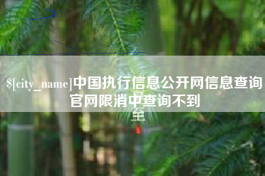 聊城中国执行信息公开网信息查询官网限消中查询不到