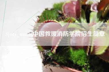 聊城中国救援消防学院招生简章