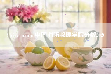 聊城中国消防救援学院分数2020