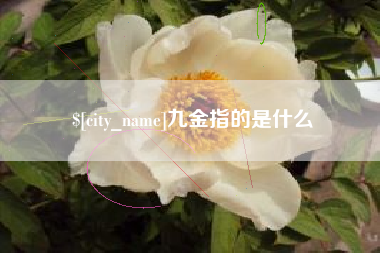 聊城九金指的是什么