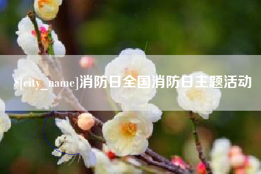 聊城消防日全国消防日主题活动