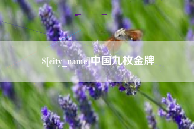 聊城中国九枚金牌