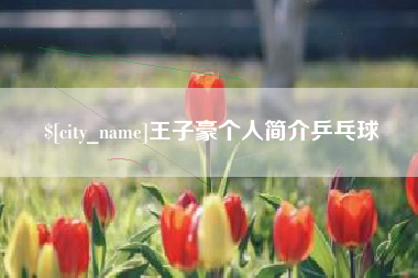 聊城王子豪个人简介乒乓球