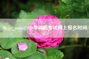 聊城2020年消防考试网上报名时间